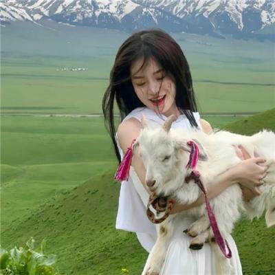 狮心王：背叛